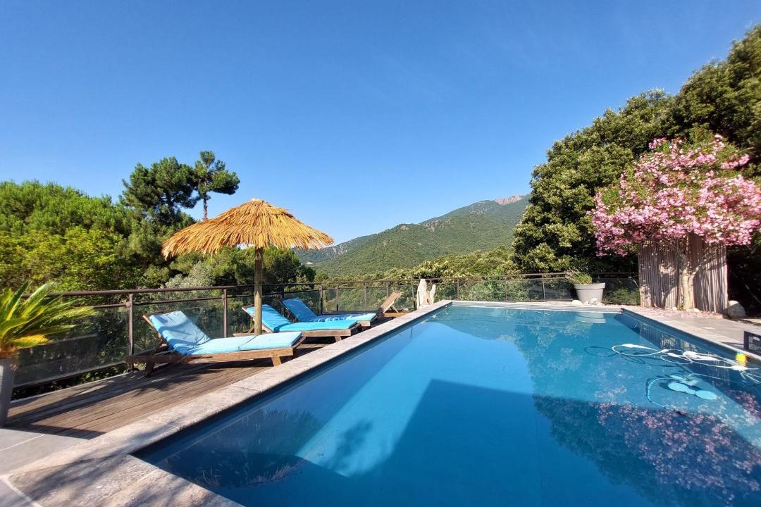 Photo of Others in Vero