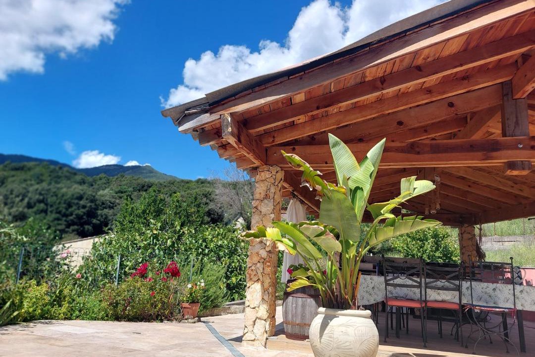 Photo of Others in Vero