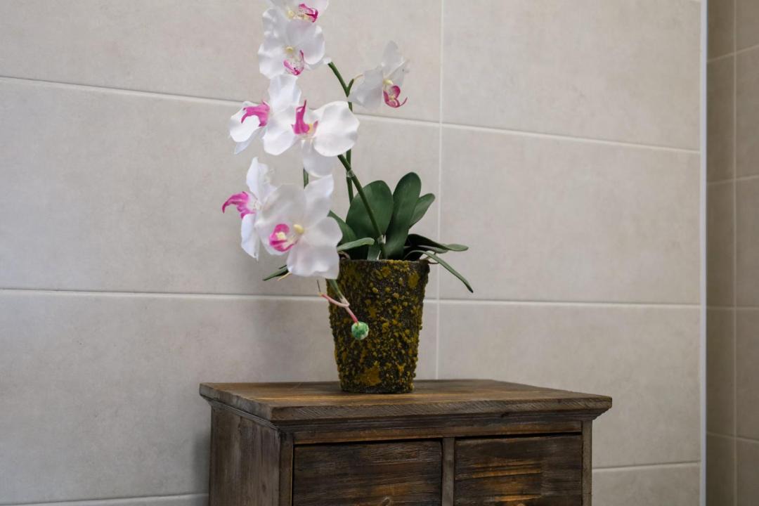 Photo of Bathroom in Amberieu-en-Bugey