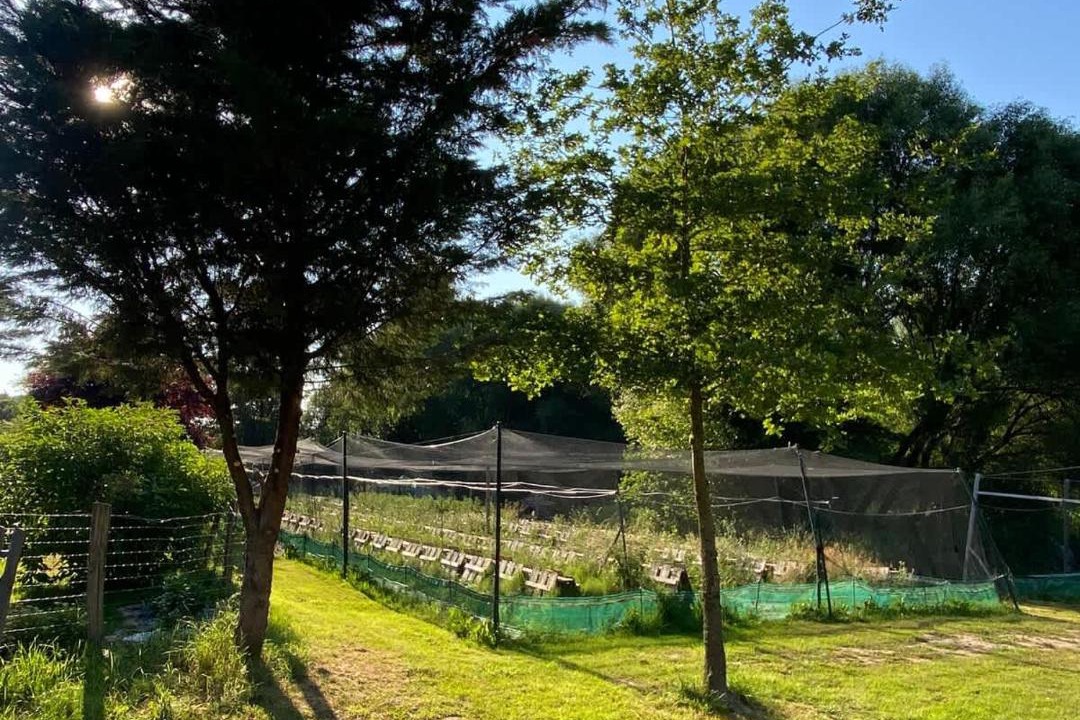 Photo of Others in Uzemain