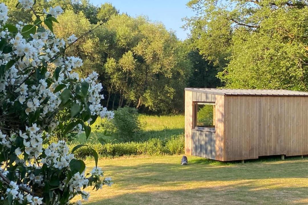 Photo of Others in Uzemain