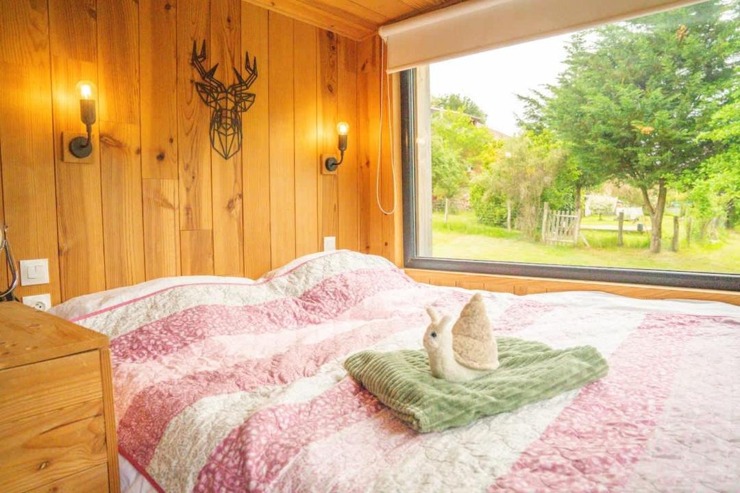 Photo of Others in Uzemain