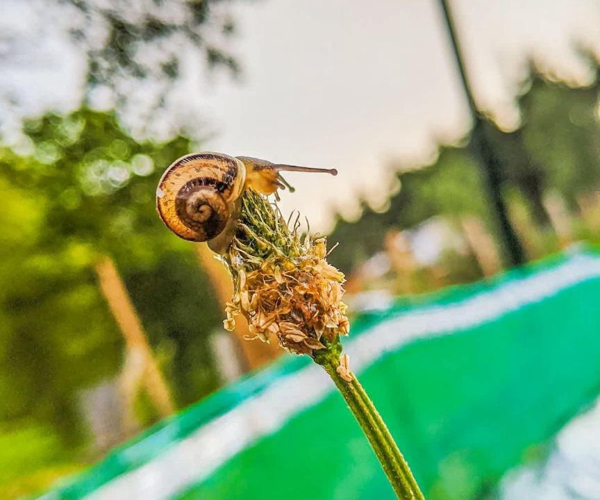 Photo of Others in Uzemain