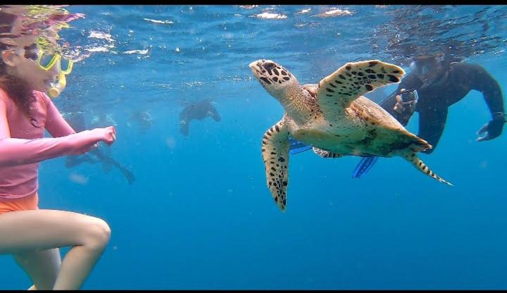 Photo of Others in Pejarakan