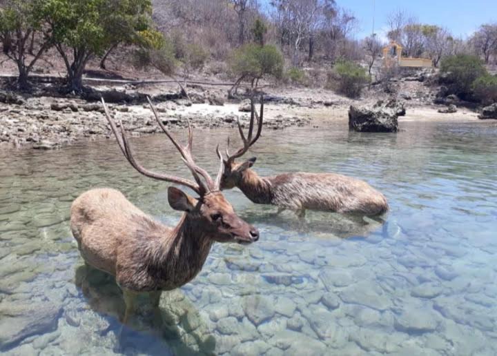 Photo of Others in Pejarakan