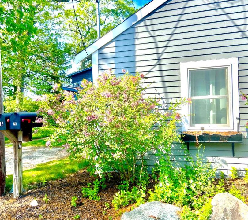 Photo of Others in Merrimac