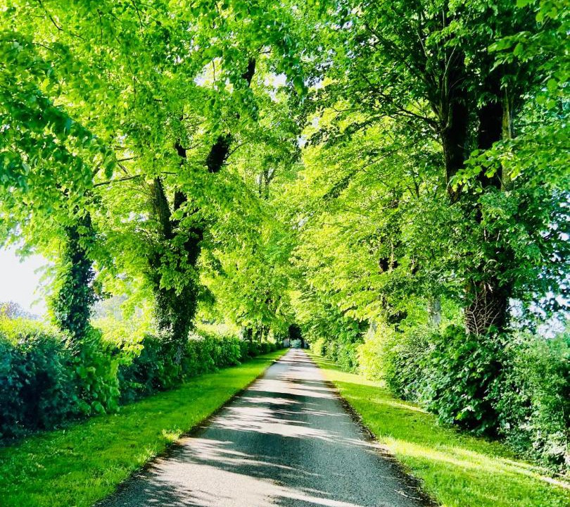 Photo of Others in Saivres