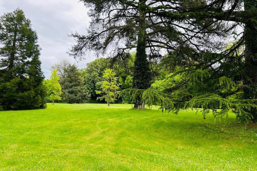 Photo of Outdoor in Saivres