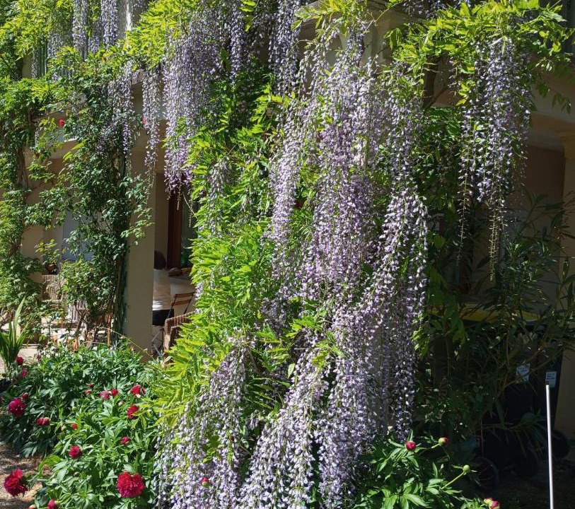 Photo of Others in Orveau-Bellesauve