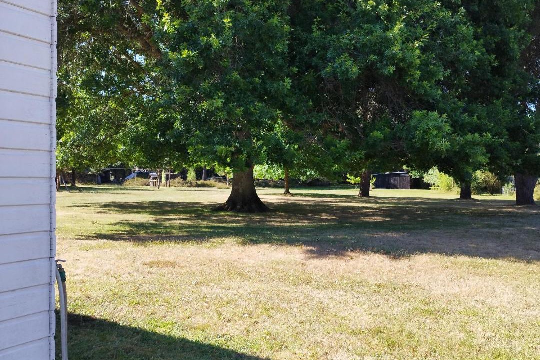 Photo of Others in Sanguinet