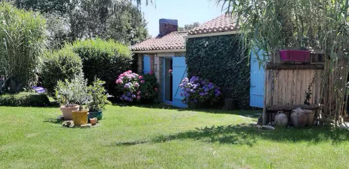 Photo of Others in Mache