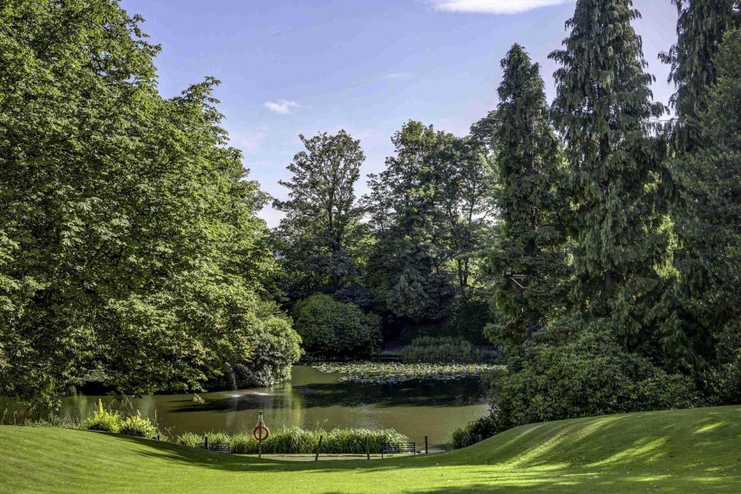 Photo of Others in Sheffield