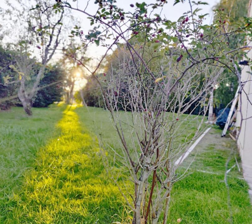 Photo of Outdoor in Poulaines