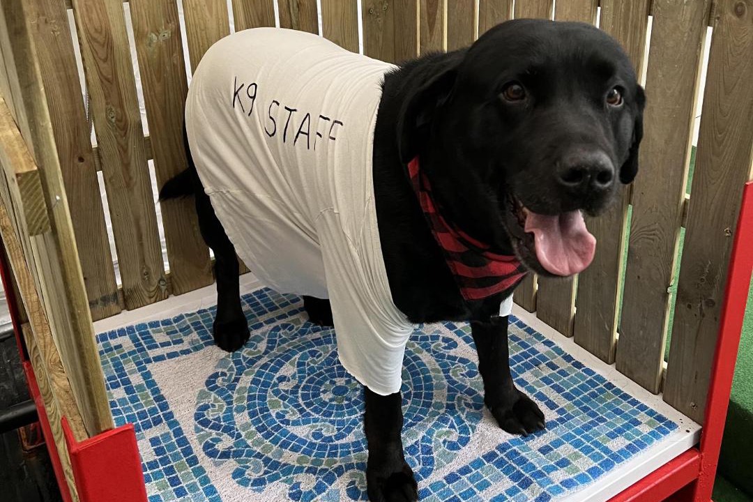 Photo of Others in Leyland