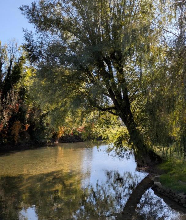 Photo of Others in Chamesson