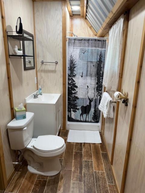 Photo of Bathroom in South Toledo Bend
