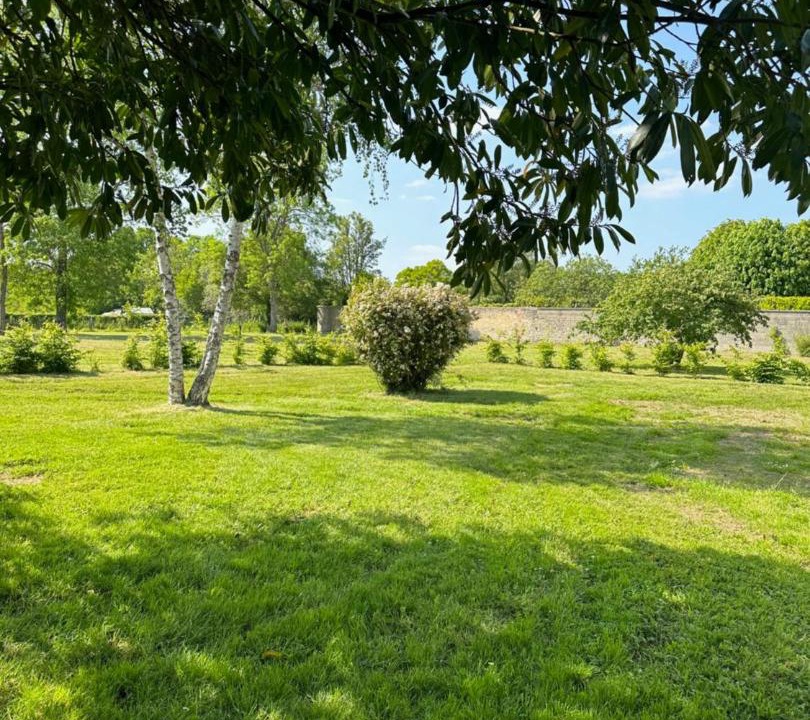 Photo of Others in Sevigny
