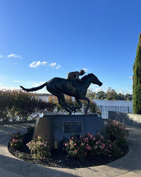 Photo of Others in Nagambie