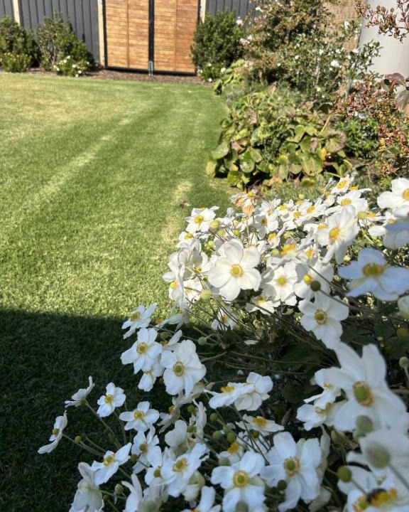 Photo of Others in Nagambie