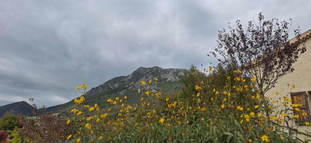 Photo of Others in Ribeyret