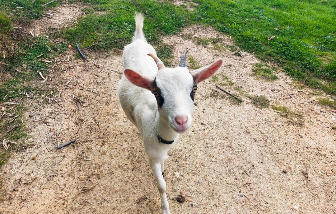 Photo of Others in Maurens