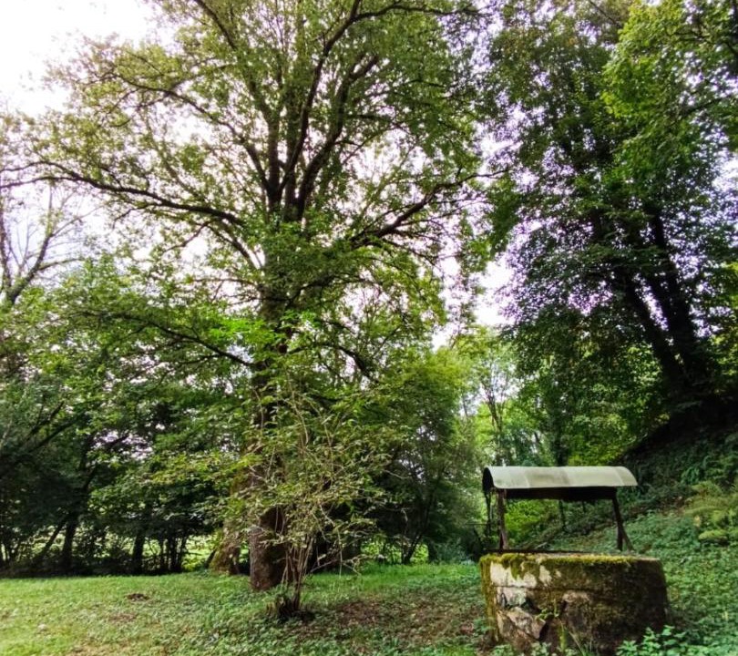 Photo of Others in Saint-Bonnet-Avalouze