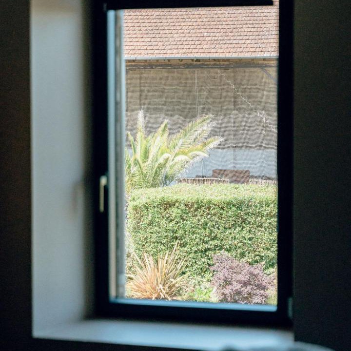 Photo of Others in Mombrier