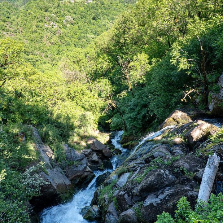 Photo of Others in Villecomtal