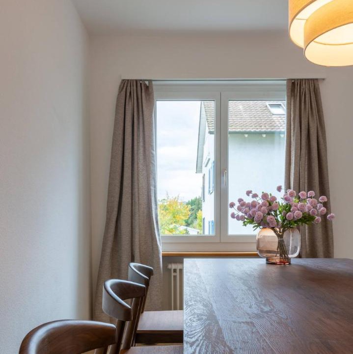 Photo of Others in Horgen District