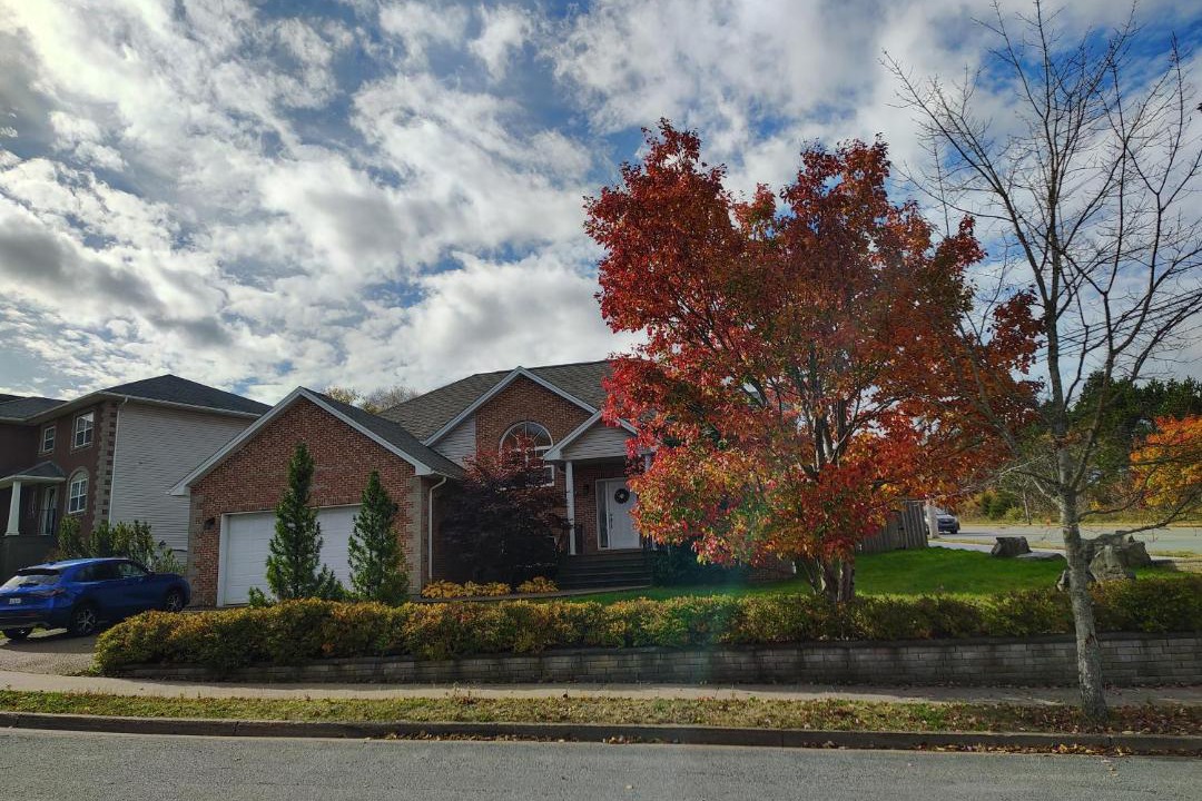 Photo of Others in Halifax