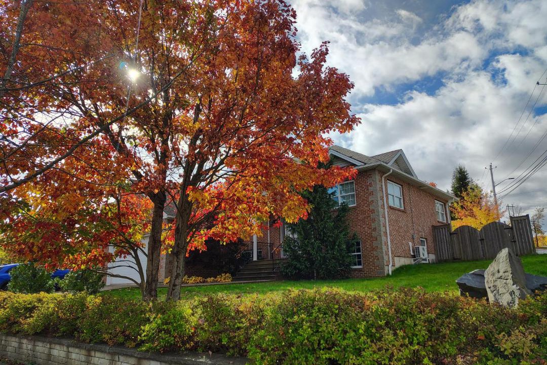 Photo of Others in Halifax