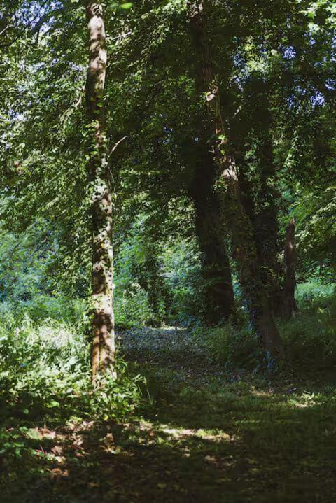 Photo of Others in Saint-Lubin-des-Joncherets