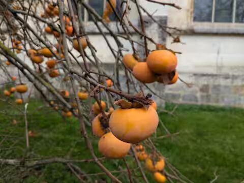 Photo of Others in Saint-Lubin-des-Joncherets
