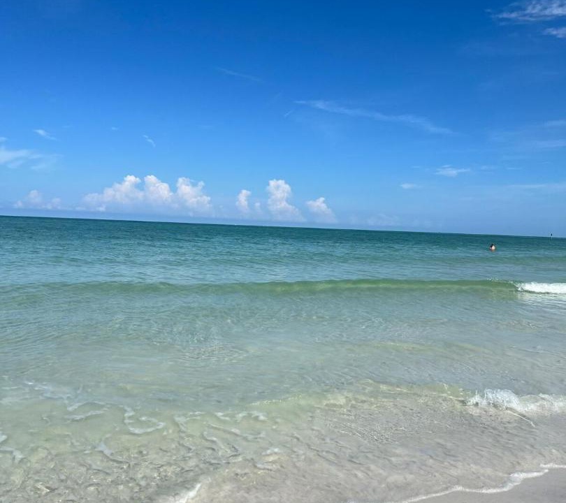 Photo of Others in Laurel