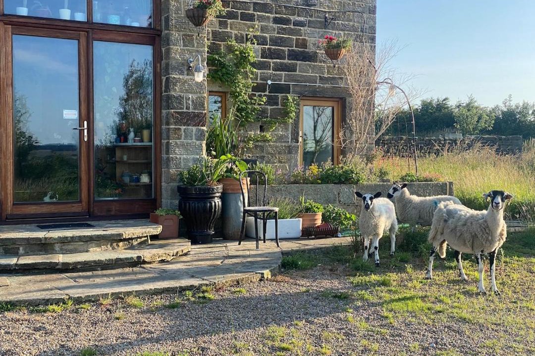 Photo of Others in Otley