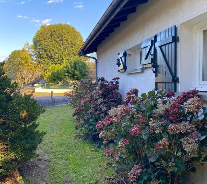 Photo of Others in Mezos