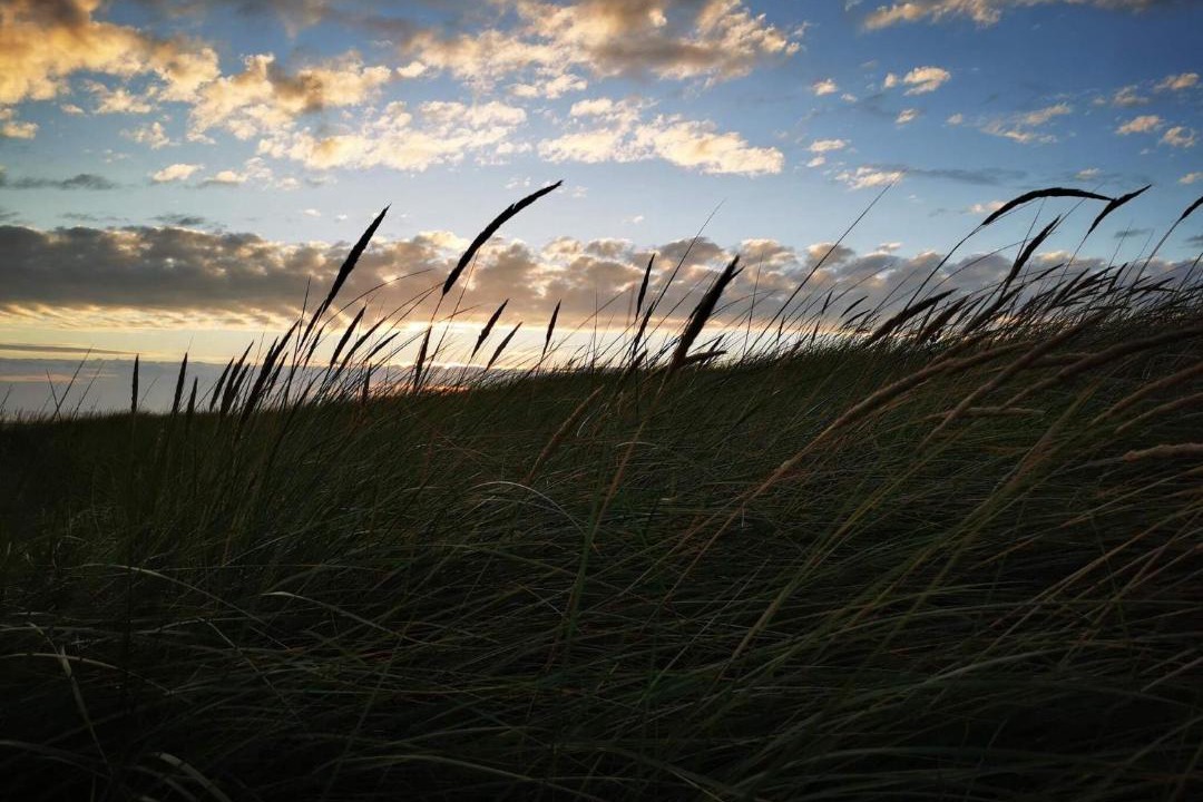 Photo of Others in Blavand Strand