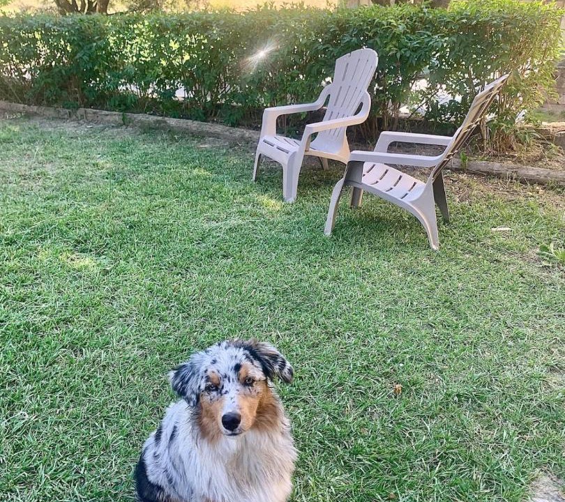 Photo of Others in Montjustin