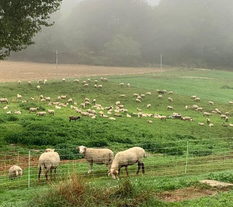 Photo of Others in Montjustin
