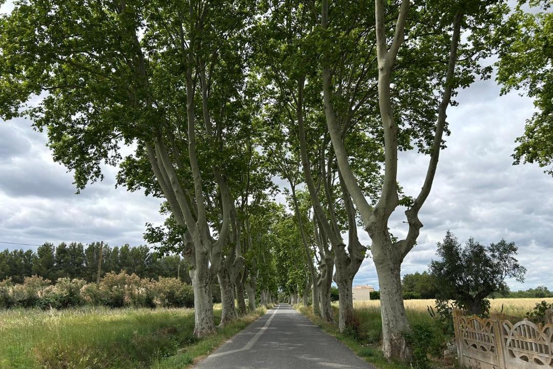 Photo of Others in Raissac-d'Aude
