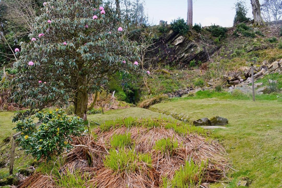 Photo of Others in Strone