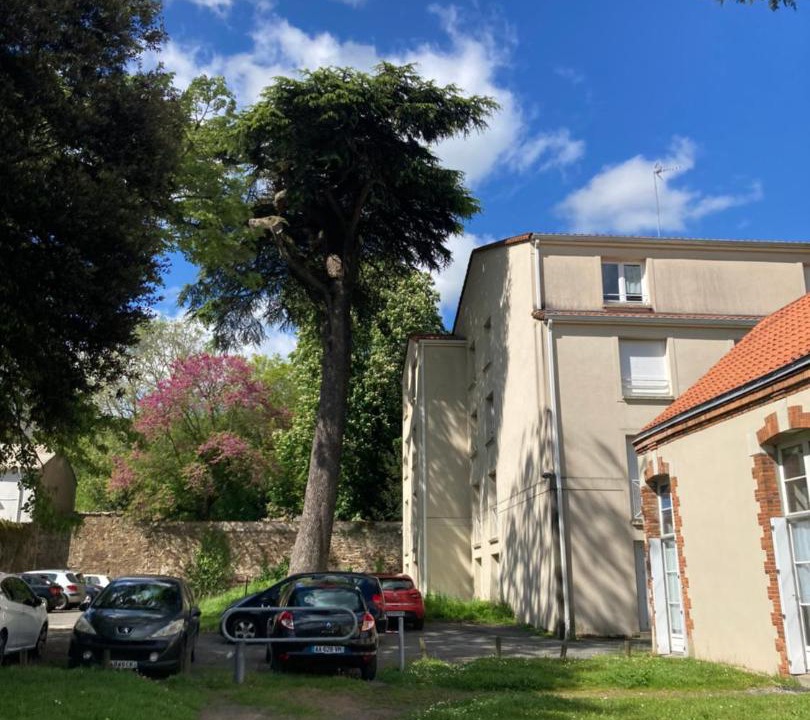 Photo of Others in Cholet