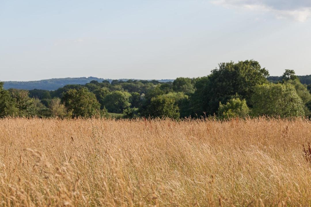 Photo of Others in Chiddingstone