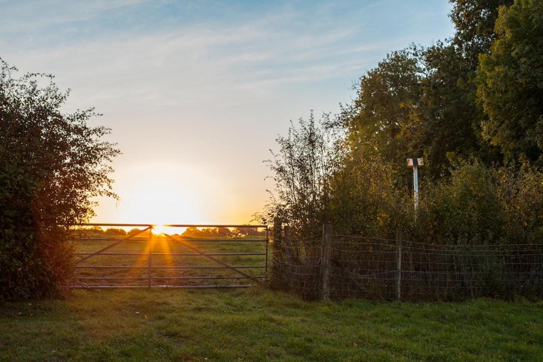 Photo of Others in Chiddingstone