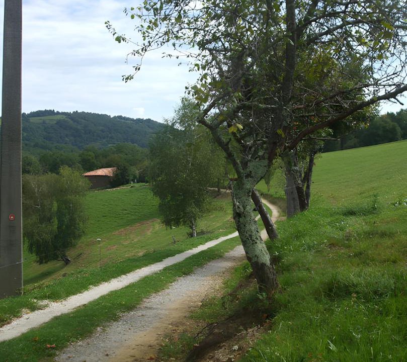 Photo of Others in Bagert