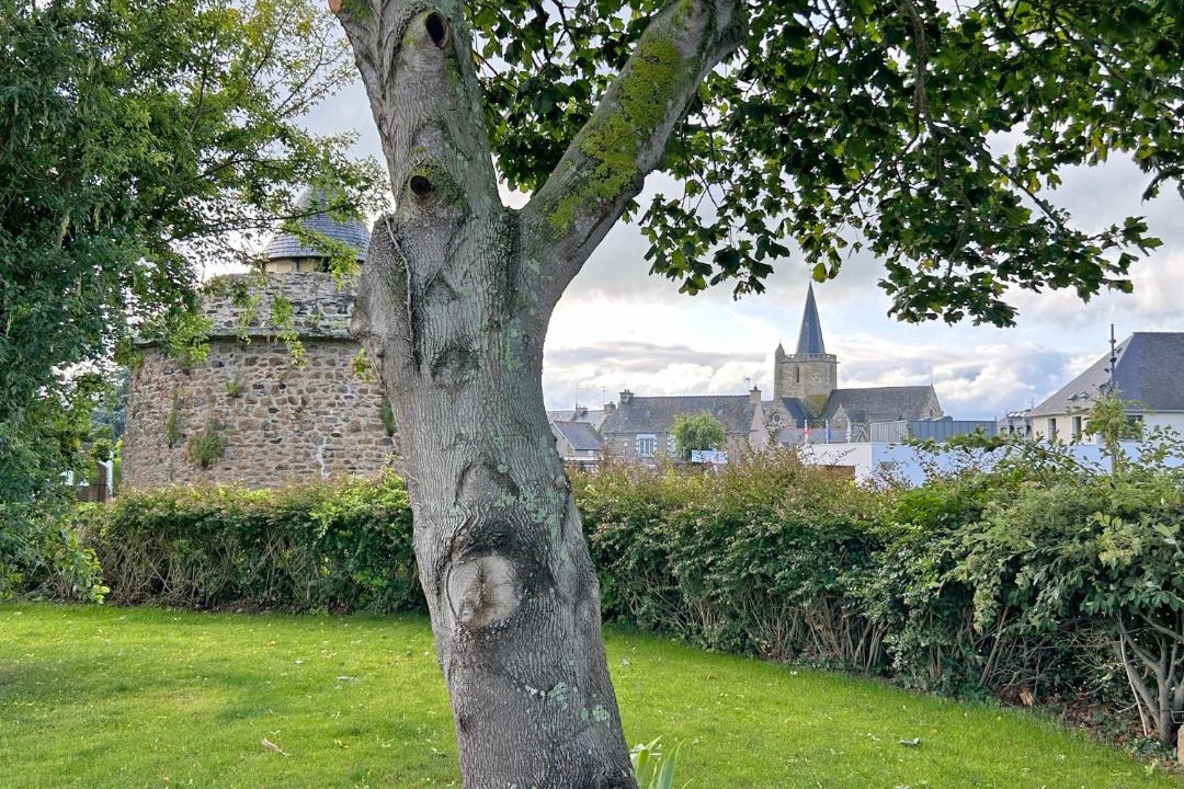 Photo of Others in Hillion