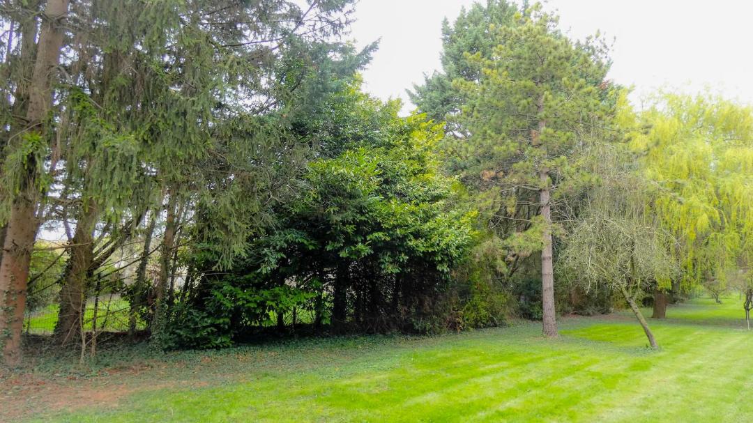 Photo of Outdoor in Herblay