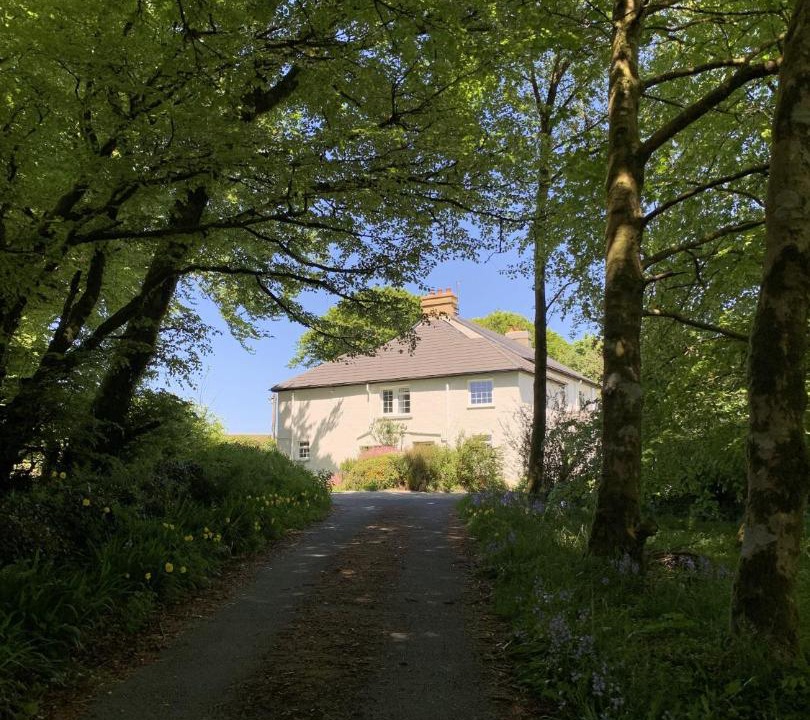 Photo of Others in Dartmoor Forest