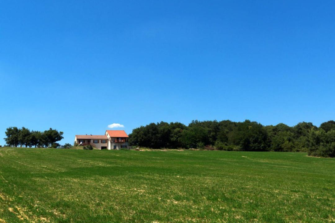 Photo of Others in Sonnay