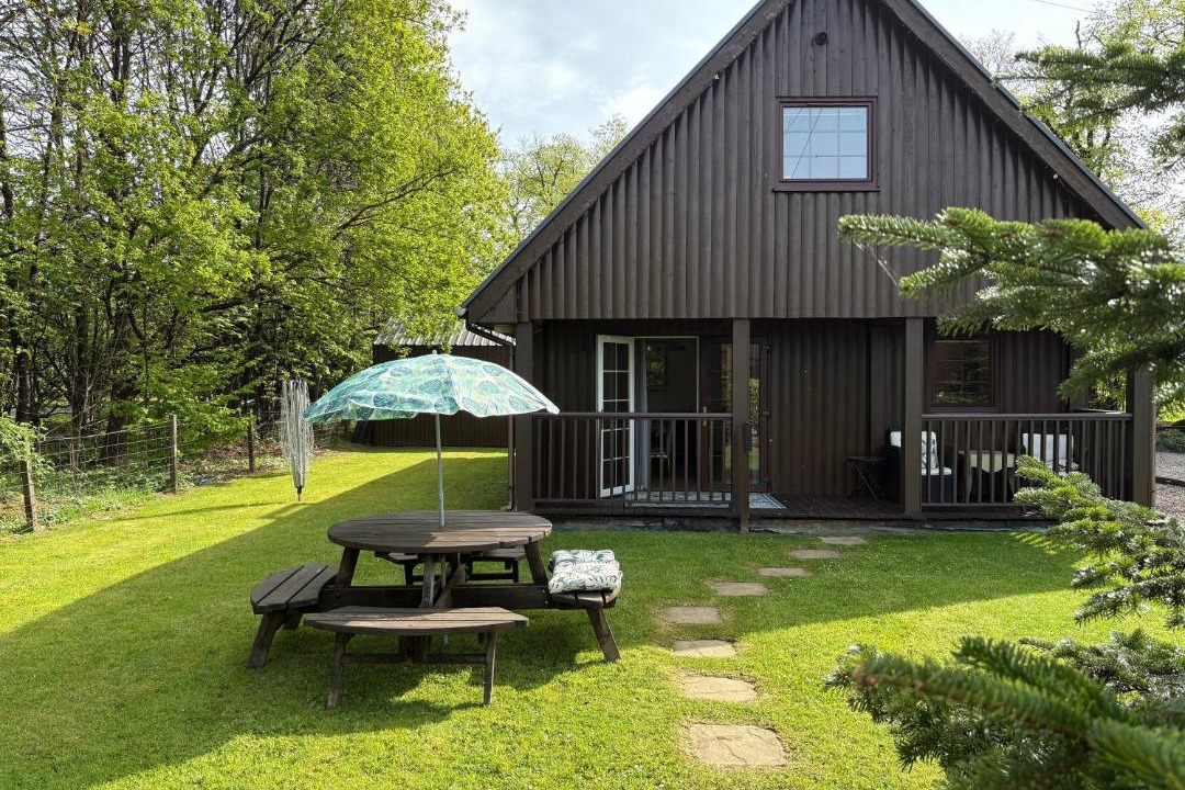 Photo of Others in Tillicoultry